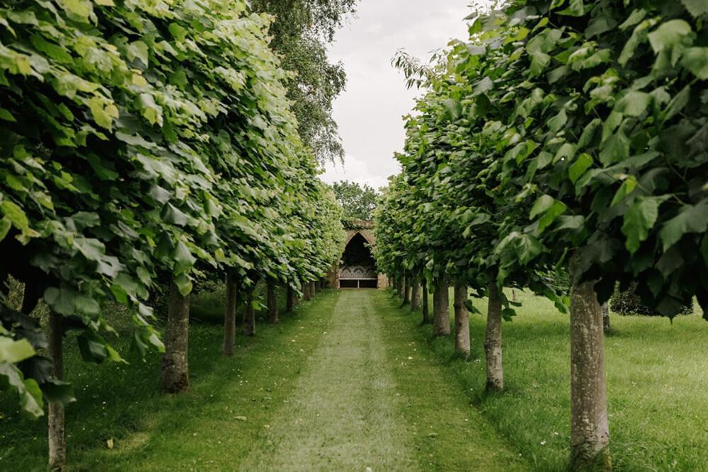 Cressy Hall - Historic Grade II Listed Manor, Gorgeous Topiary Garden Gosberton Dış mekan fotoğraf
